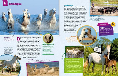 9783788621865 - Sample content