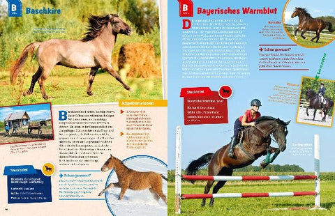 9783788621865 - Sample content