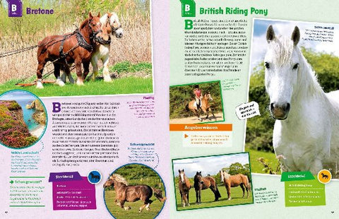 9783788621865 - Sample content