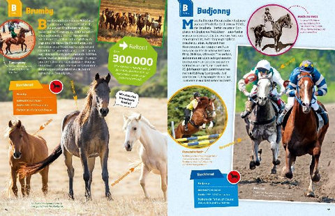 9783788621865 - Sample content