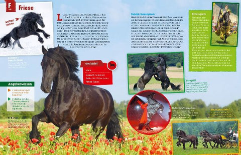 9783788621865 - Sample content