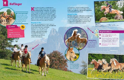 9783788621865 - Sample content