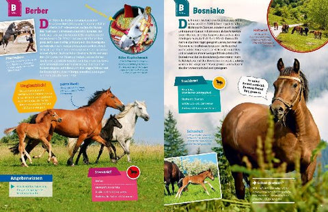 9783788621865 - Sample content