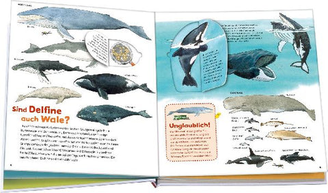 9783788622237 - Sample content