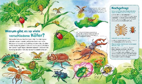 9783788622251 - Sample content