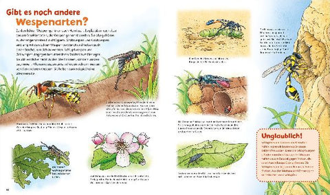 9783788622312 - Sample content