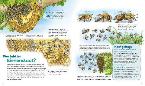 9783788622312 - Sample content