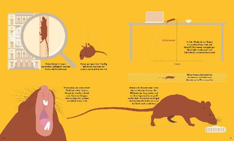 9783788622633 - Sample content