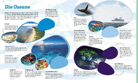 9783788622664 - Sample content