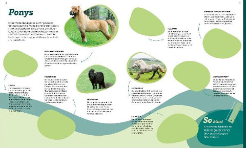 9783788622695 - Sample content