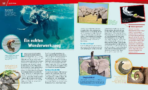 9783788622794 - Sample content