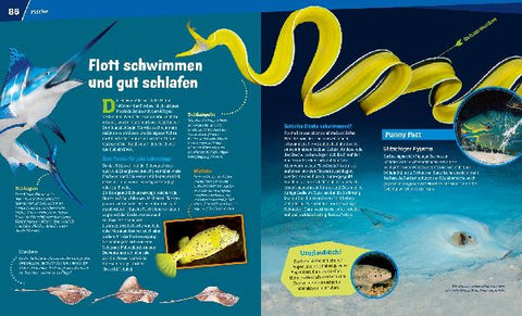 9783788622794 - Sample content