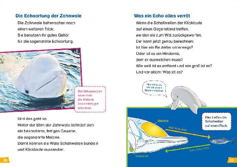 9783788626372 - Sample content