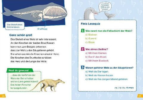 9783788626372 - Sample content