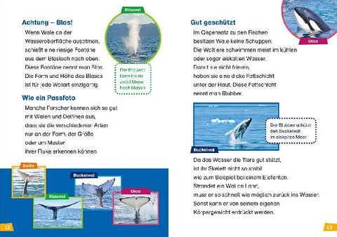 9783788626372 - Sample content