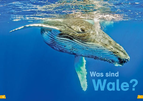 9783788626372 - Sample content