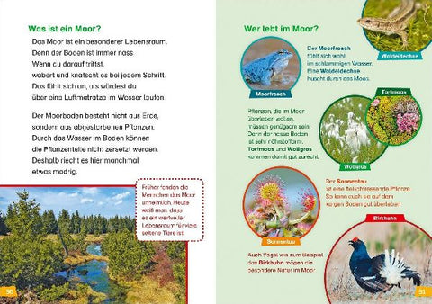 9783788626402 - Sample content