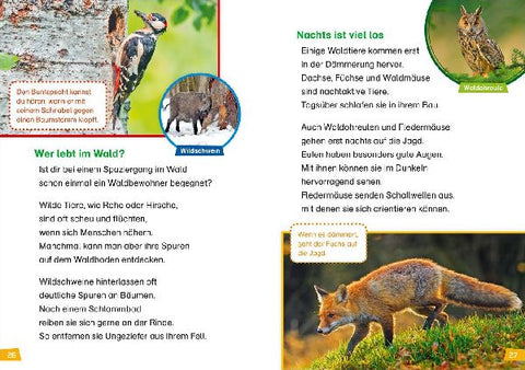 9783788626402 - Sample content