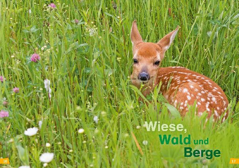 9783788626402 - Sample content