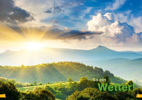 9783788626419 - Sample content