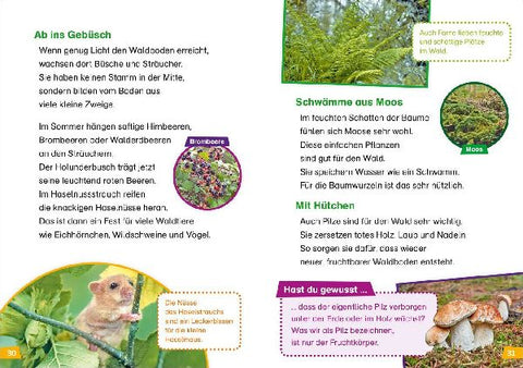 9783788626426 - Sample content