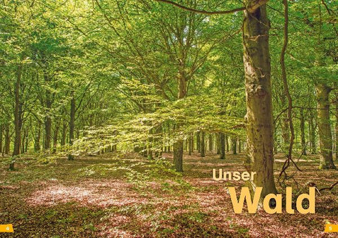 9783788626426 - Sample content