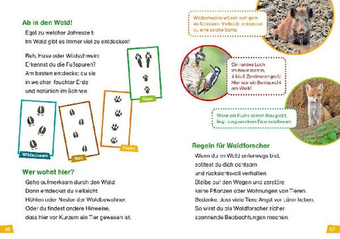 9783788626426 - Sample content