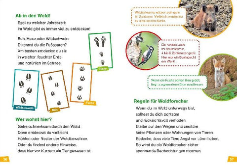 9783788626426 - Sample content