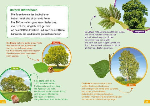 9783788626426 - Sample content