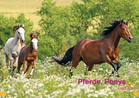 9783788626440 - Sample content