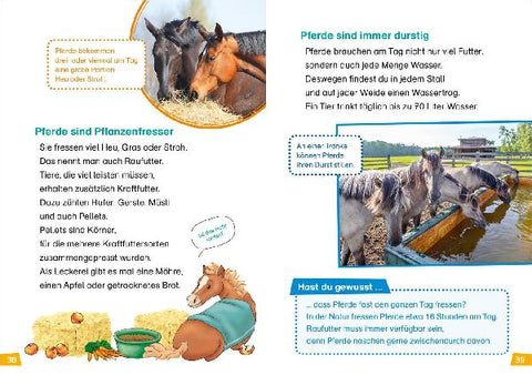 9783788626440 - Sample content