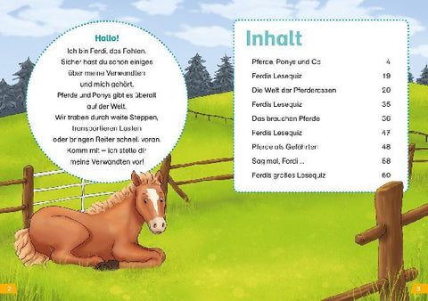 9783788626440 - Sample content