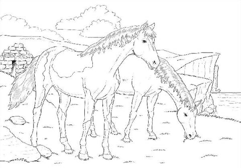 9783788639570 - Sample content