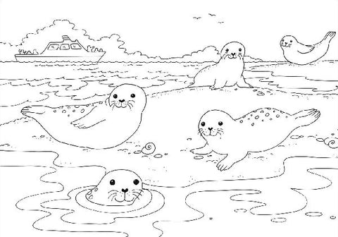 9783788645762 - Sample content