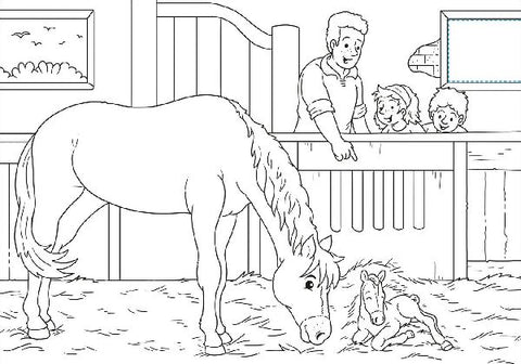 9783788645786 - Sample content