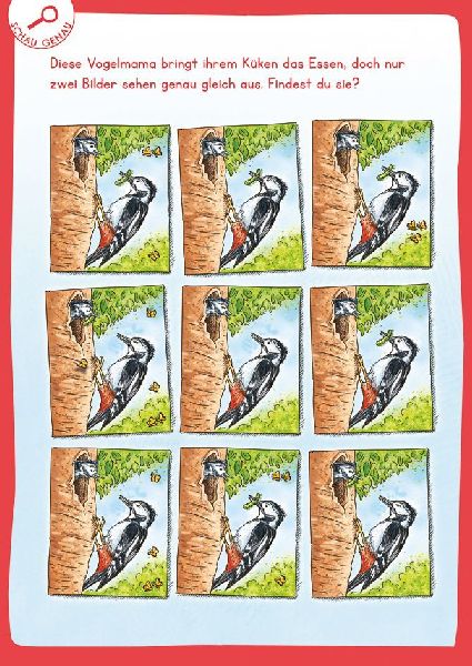 9783788646981 - Sample content