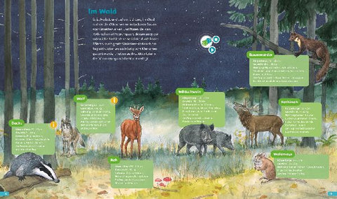 9783788675240 - Sample content