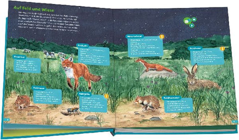 9783788675240 - Sample content