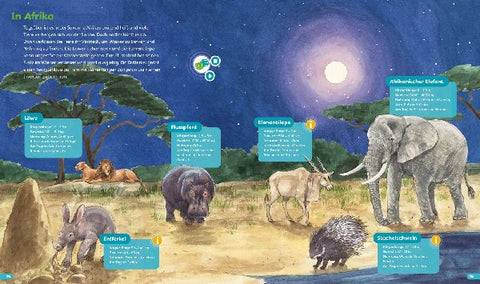 9783788675240 - Sample content