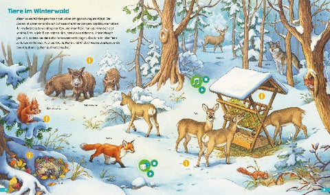 9783788675264 - Sample content