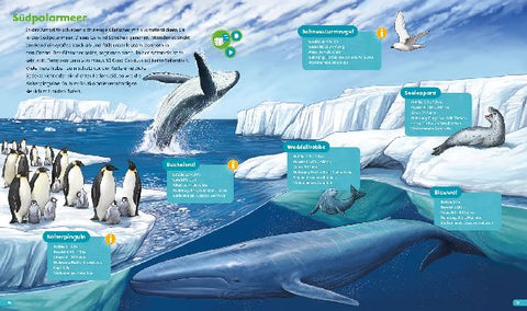 9783788675301 - Sample content