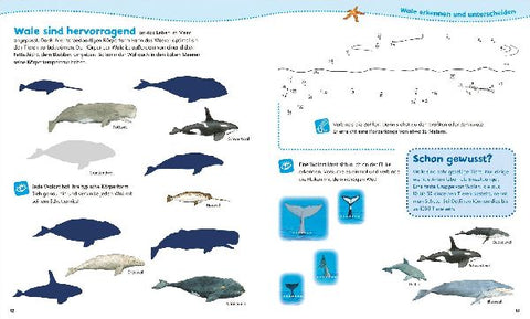 9783788675745 - Sample content