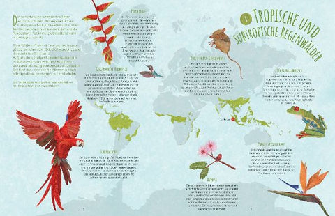 9783788676261 - Sample content