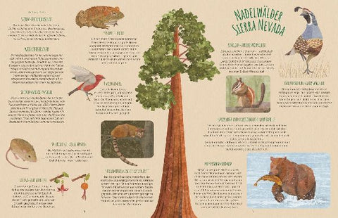 9783788676261 - Sample content