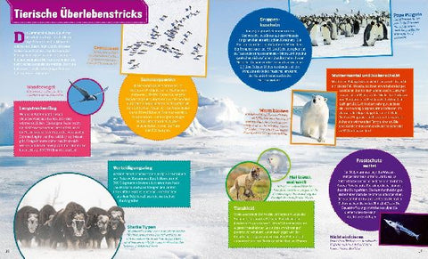 9783788676285 - Sample content