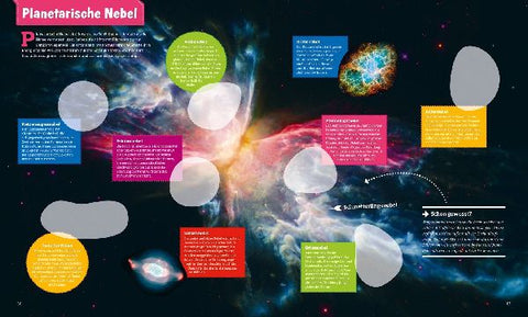 9783788676339 - Sample content