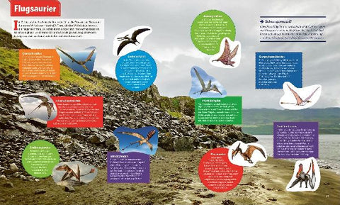 9783788676360 - Sample content