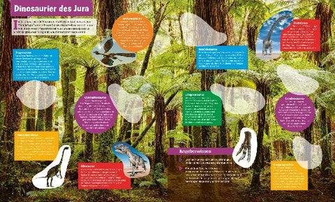 9783788676360 - Sample content