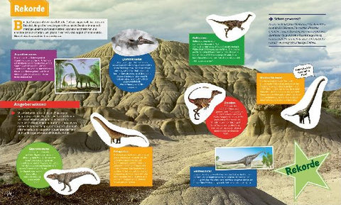 9783788676360 - Sample content