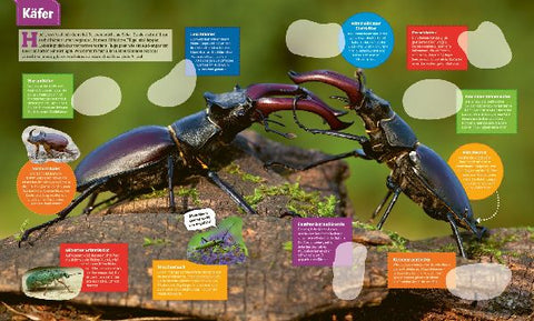 9783788676377 - Sample content